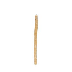 Siwak : Brosse à dents naturelle