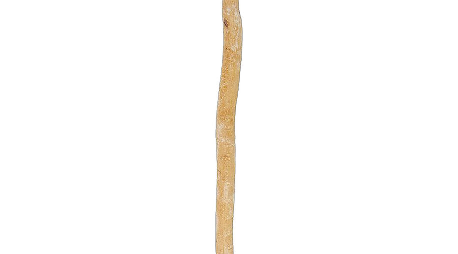 Le siwak : la brosse à dents naturelle, mode d'emploi Zeyna, La Maison d'Orient